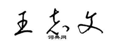 梁锦英王志文草书个性签名怎么写