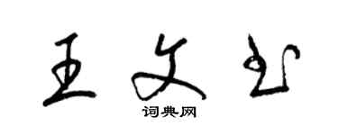 梁锦英王文书草书个性签名怎么写