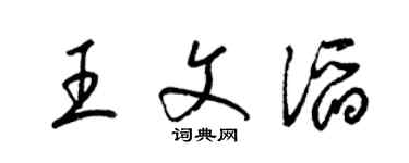 梁锦英王文滔草书个性签名怎么写