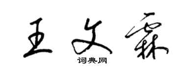 梁锦英王文霖草书个性签名怎么写