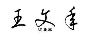 梁锦英王文年草书个性签名怎么写