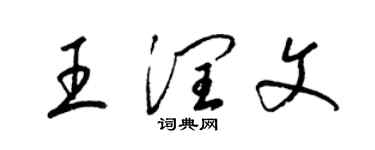 梁锦英王润文草书个性签名怎么写