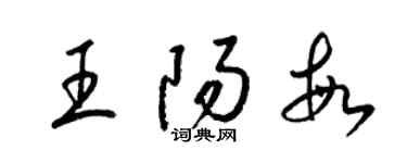 梁锦英王阳敏草书个性签名怎么写