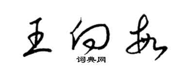梁锦英王向敏草书个性签名怎么写