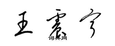 梁锦英王震宁草书个性签名怎么写
