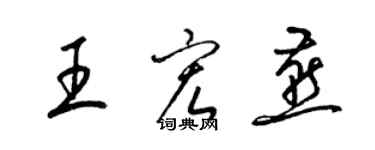 梁锦英王宏燕草书个性签名怎么写