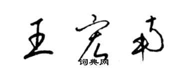 梁锦英王宏南草书个性签名怎么写