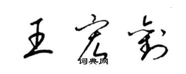 梁锦英王宏刘草书个性签名怎么写