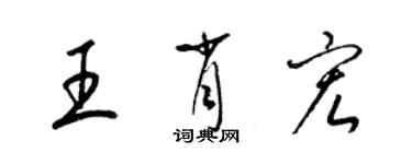 梁锦英王肖宏草书个性签名怎么写