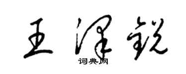 梁锦英王泽锐草书个性签名怎么写