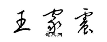 梁锦英王家震草书个性签名怎么写
