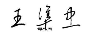 梁锦英王准忠草书个性签名怎么写
