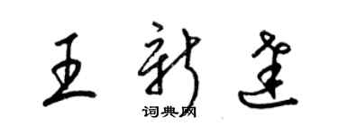 梁锦英王新达草书个性签名怎么写