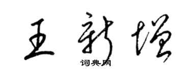 梁锦英王新增草书个性签名怎么写
