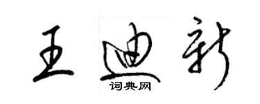 梁锦英王迪新草书个性签名怎么写