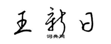梁锦英王新日草书个性签名怎么写