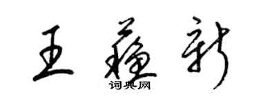 梁锦英王苏新草书个性签名怎么写