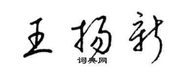 梁锦英王扬新草书个性签名怎么写