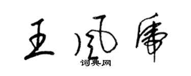 梁锦英王风虎草书个性签名怎么写