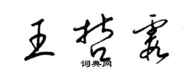梁锦英王哲霞草书个性签名怎么写