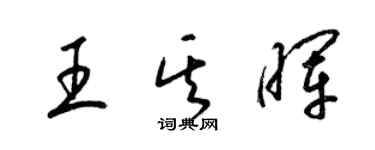 梁锦英王其晖草书个性签名怎么写