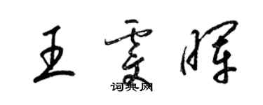 梁锦英王雯晖草书个性签名怎么写