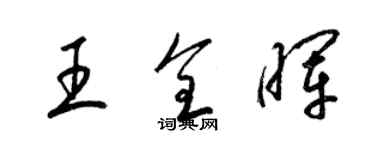 梁锦英王全晖草书个性签名怎么写