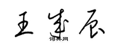 梁锦英王成辰草书个性签名怎么写