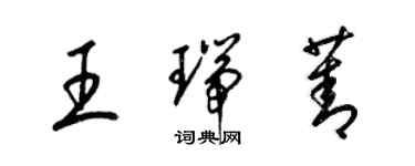 梁锦英王瑞菁草书个性签名怎么写