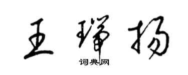 梁锦英王瑞扬草书个性签名怎么写