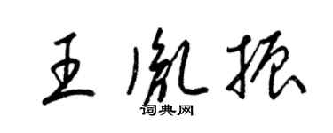 梁锦英王胤振草书个性签名怎么写