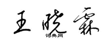 梁锦英王晓霖草书个性签名怎么写