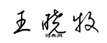 梁锦英王晓牧草书个性签名怎么写