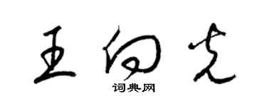梁锦英王向光草书个性签名怎么写