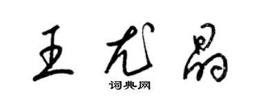 梁锦英王尤晶草书个性签名怎么写