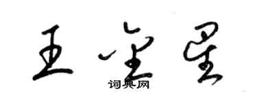 梁锦英王金星草书个性签名怎么写