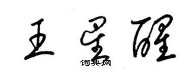 梁锦英王星醒草书个性签名怎么写