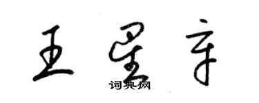 梁锦英王星辛草书个性签名怎么写