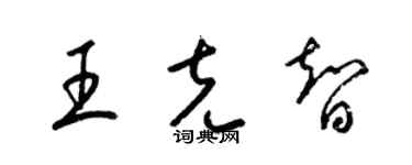 梁锦英王克智草书个性签名怎么写