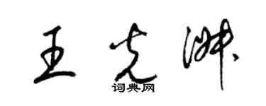 梁锦英王光淑草书个性签名怎么写