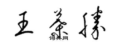 梁锦英王叶胜草书个性签名怎么写