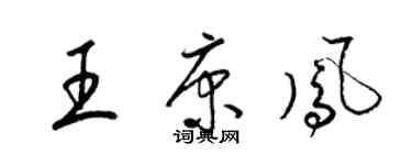 梁锦英王康凤草书个性签名怎么写