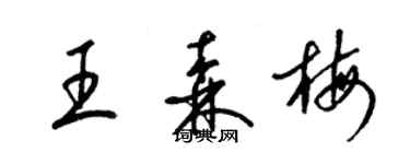梁锦英王森梅草书个性签名怎么写