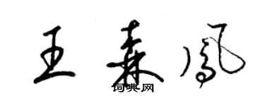 梁锦英王森凤草书个性签名怎么写