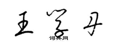 梁锦英王学丹草书个性签名怎么写