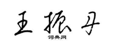 梁锦英王振丹草书个性签名怎么写