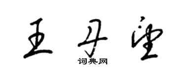 梁锦英王丹望草书个性签名怎么写
