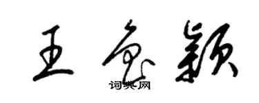 梁锦英王鲁颖草书个性签名怎么写
