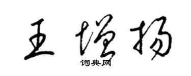 梁锦英王增扬草书个性签名怎么写
