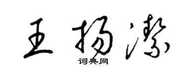 梁锦英王扬洁草书个性签名怎么写